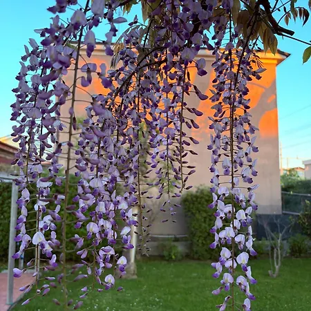 Apartment Domus Dafne