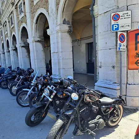 Domus Dafne Senigallia